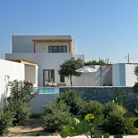 Alio Naxos Luxury Suites أجيوس جورجيوس المظهر الخارجي الصورة