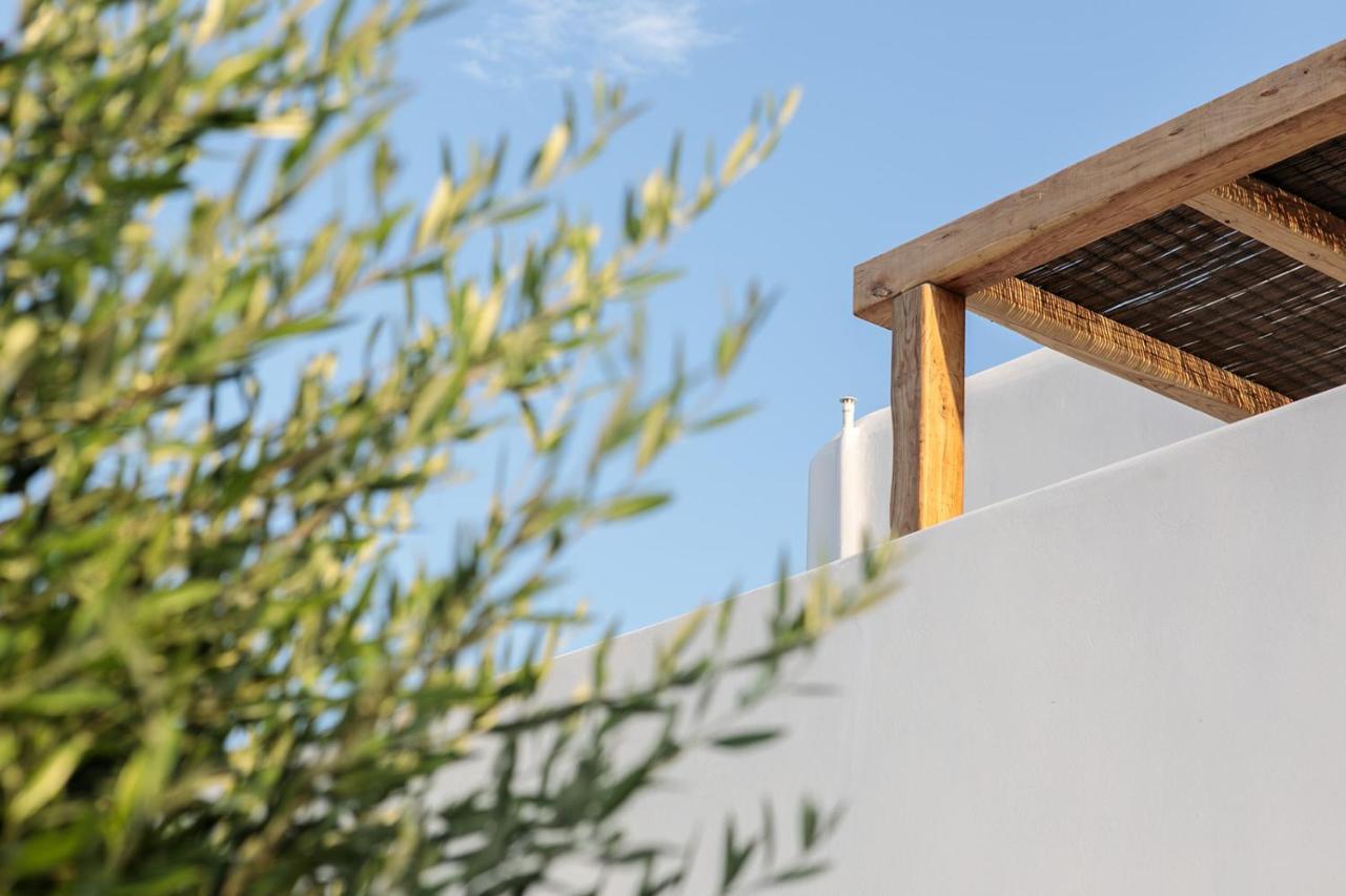 Alio Naxos Luxury Suites أجيوس جورجيوس المظهر الخارجي الصورة