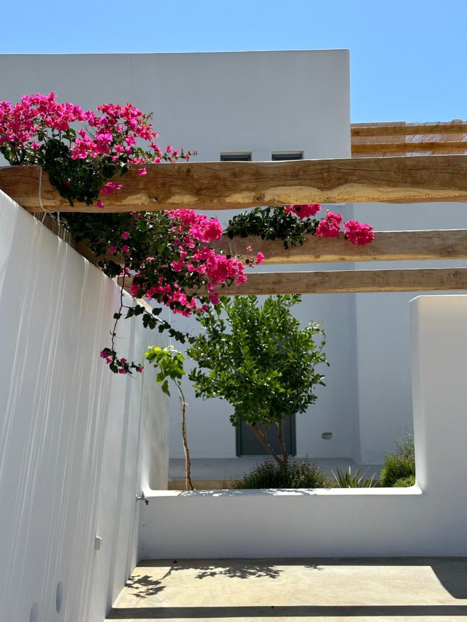 Alio Naxos Luxury Suites أجيوس جورجيوس المظهر الخارجي الصورة