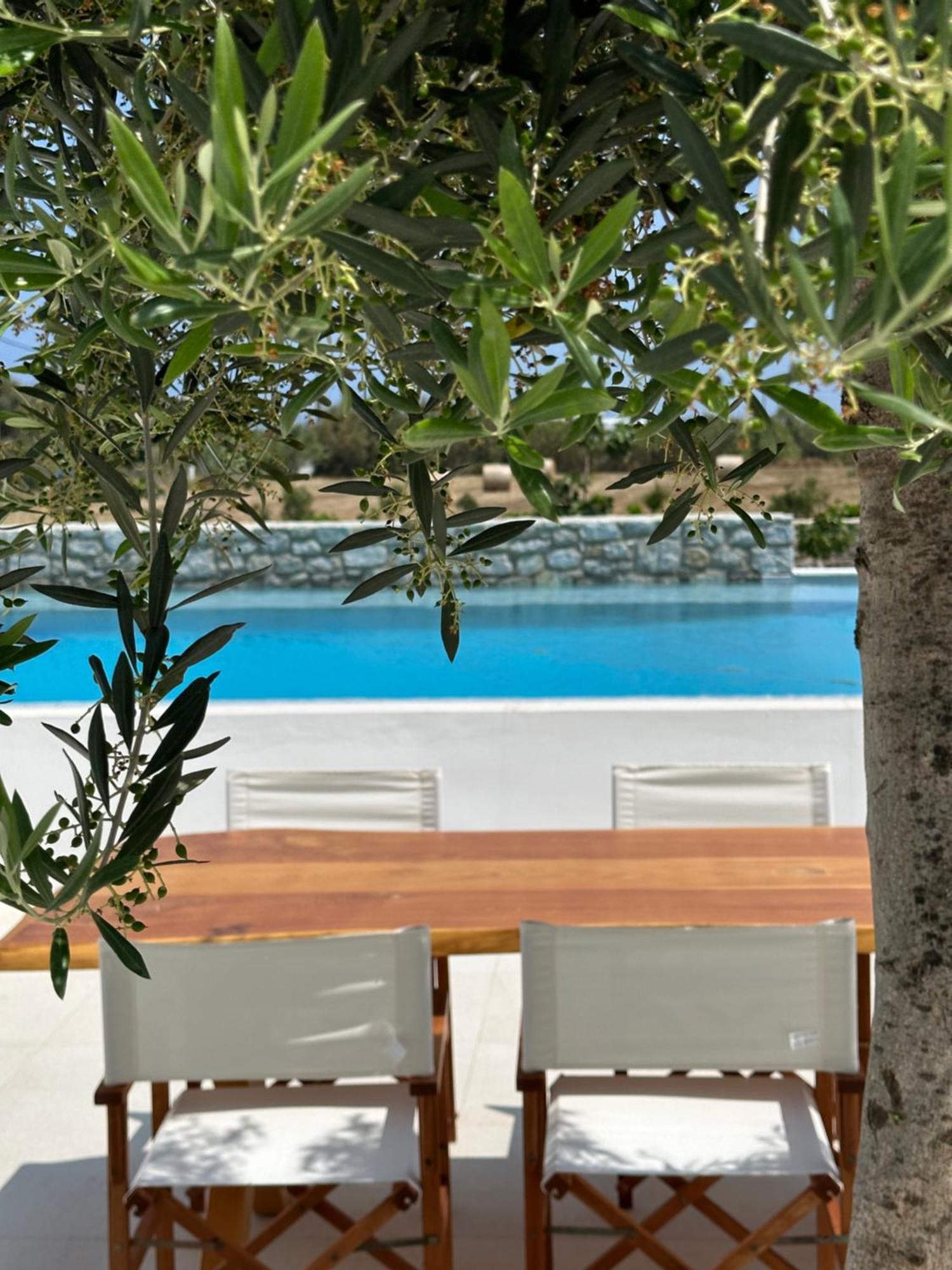 Alio Naxos Luxury Suites أجيوس جورجيوس المظهر الخارجي الصورة